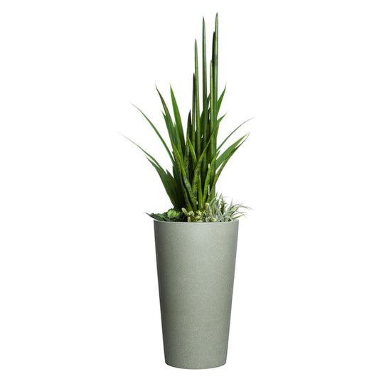 Succulent/Greenery Mix