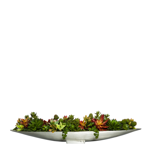 Succulent Mix