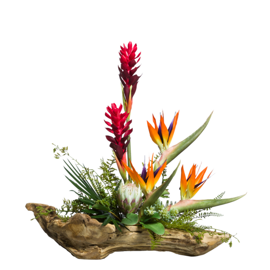 Tropical Mix