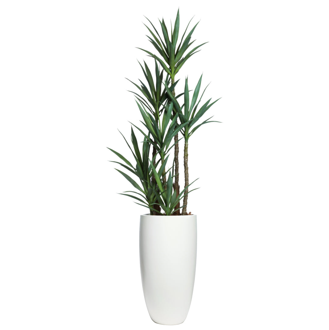 yucca cane decor Yucca – Lux Art Silks