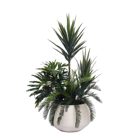 Yucca Mix